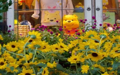 Winnie the Pooh’s Wisdom: The Art of Simple Living